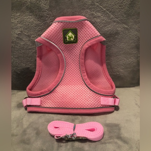 Dog harness and leash - Picture 1 of 3
